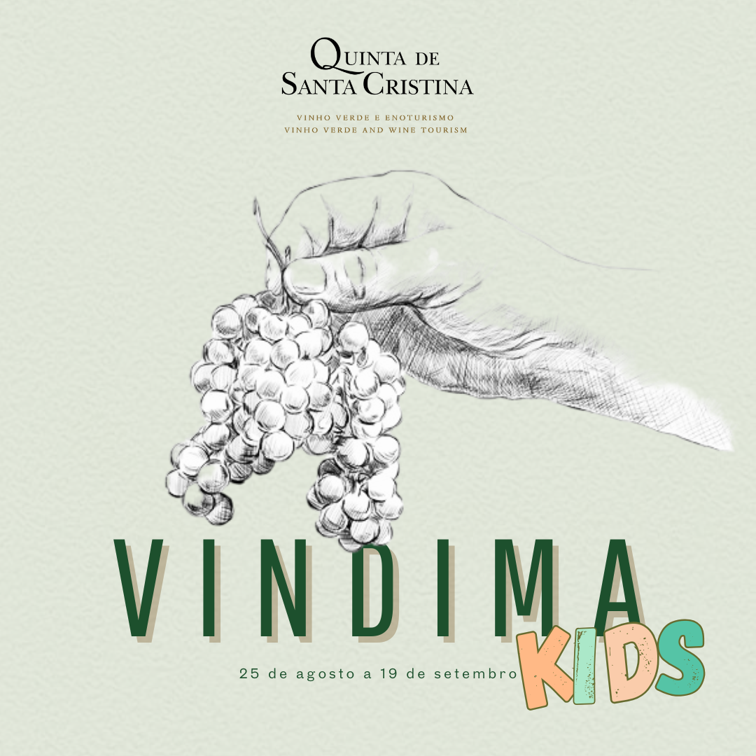 Vindima 2025 Criança