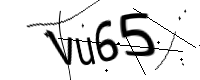 captcha_img